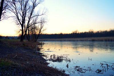 Silhouette trees on landscape against sky during sunset