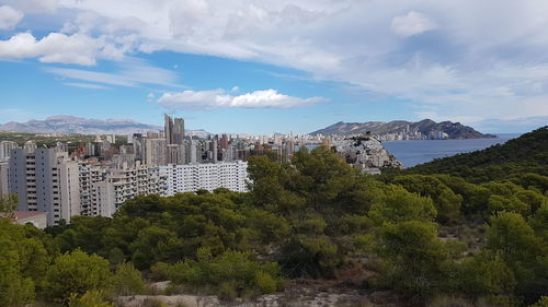 Trees and buildings against sky