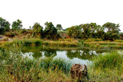 Scenic view of lake against clear sky