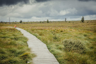 Footpath amidst grass field against sky