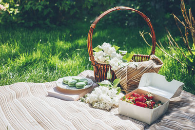 High angle view of food on table