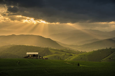 Scenic view of agricultural field against sky during sunset