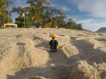 Rear view of man on beach against sky