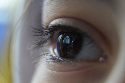 Close-up of human eye