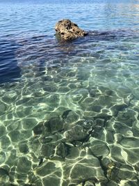 High angle view of rock in sea