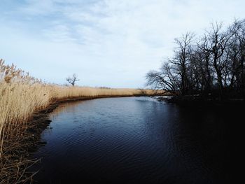 Scenic view of lake against sky