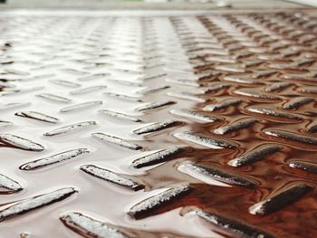 High angle view of fish on table