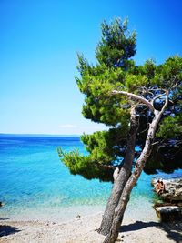 Scenic view of sea against clear blue sky