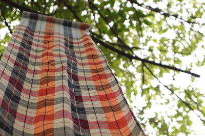 Low angle view of clothes hanging on tree