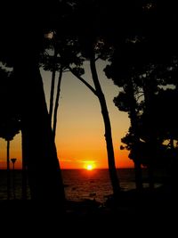 Silhouette of trees at sunset