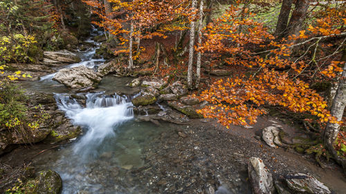 Waterfall in forest during autumn