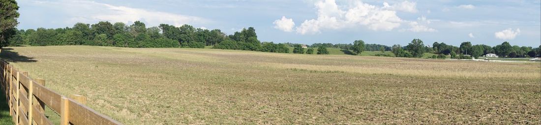 Panoramic view of trees on field against sky