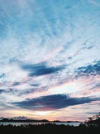 Low angle view of silhouette trees against sky during sunset