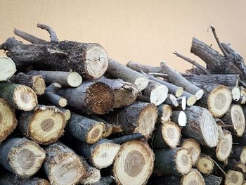 Stack of logs in forest