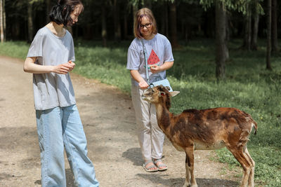 Girls feed a mouflon. happy traveler girls enjoy socializing with wild animals 