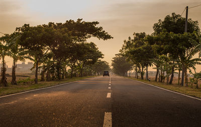Road amidst trees against sky