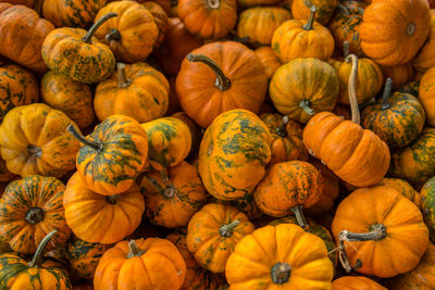 Full frame shot of pumpkins for sale