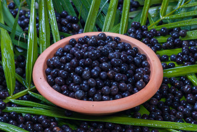 High angle view of açaí in container