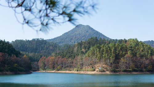 Scenic view of lake and trees against clear sky