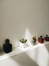 Potted plants on table at home