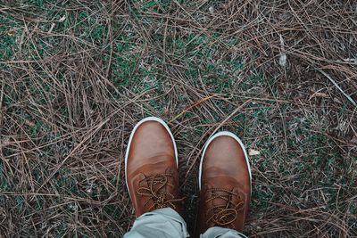 Directly above view of man wearing brown leather shoes on grass field