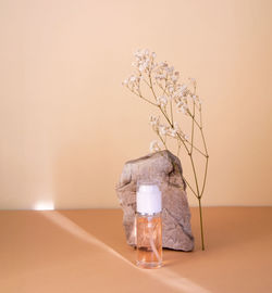 Close-up of glass vase on table against wall