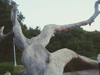 Statue of tree trunk in park