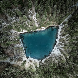 Aerial view of lake amidst trees in forest during winter
