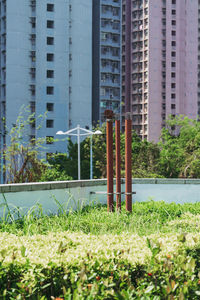 Plants growing on field against building