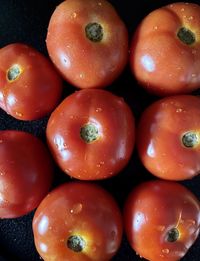 High angle view of tomatoes
