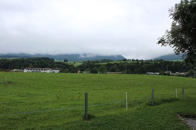 Scenic view of field against sky