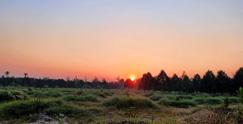 Scenic view of field against sky during sunset