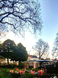 View of trees and buildings against sky