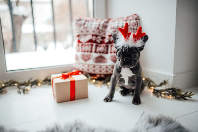 Close-up of christmas decorations on table