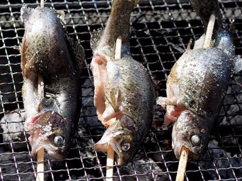 High angle view of fish skewers on barbeque