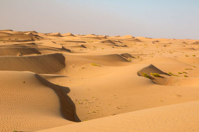 Sand dunes in desert against sky