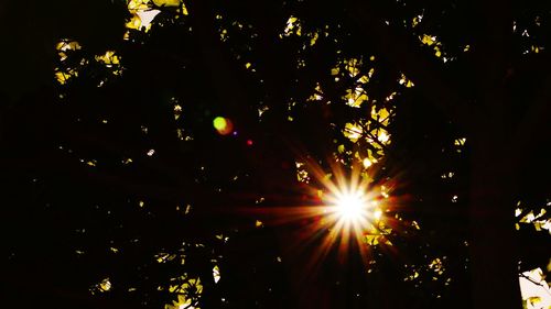 Sun shining through trees against sky