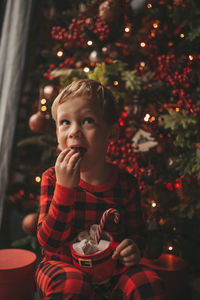 Portrait of boy playing with christmas tree