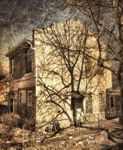 Old building with tree in background