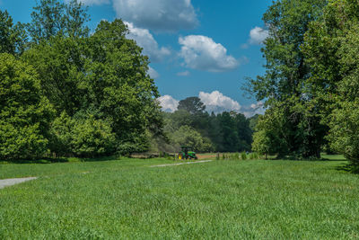 Trees on field against sky