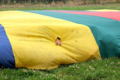 High angle view of man lying on field