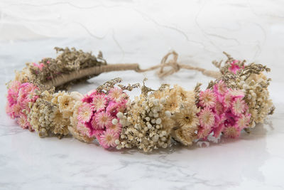 Close-up of pink flowering plant on table