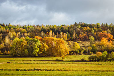 Scenic view of field against sky during autumn