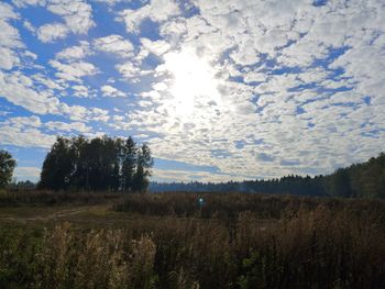 Scenic view of field against sky