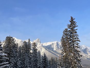 Panoramic view of snow covered mountains against sky