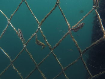 Full frame shot of chainlink fence