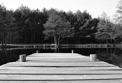 Pier over lake against trees