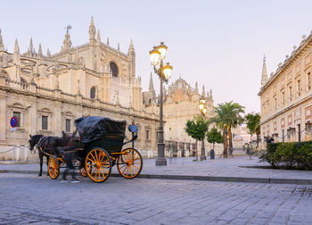 Rear view of man riding horse in city