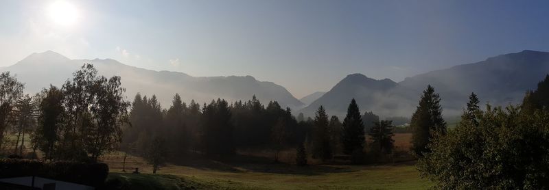 Panoramic shot of trees on landscape against sky