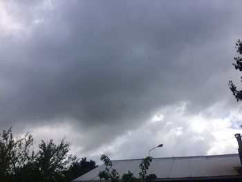 Low angle view of silhouette birds flying against sky